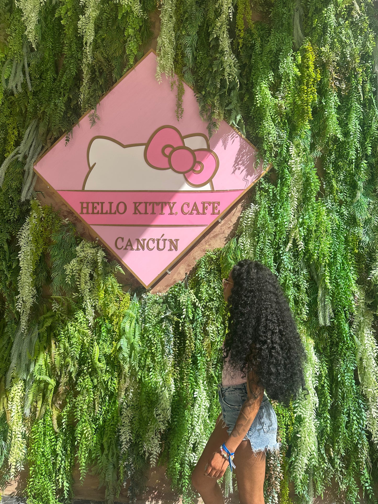 Raw Cambodian Loose Curly